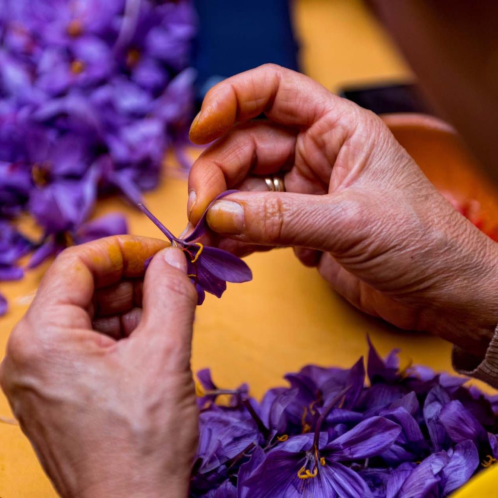 Does Saffron Work Like Adderall to Treat ADHD Symptoms?