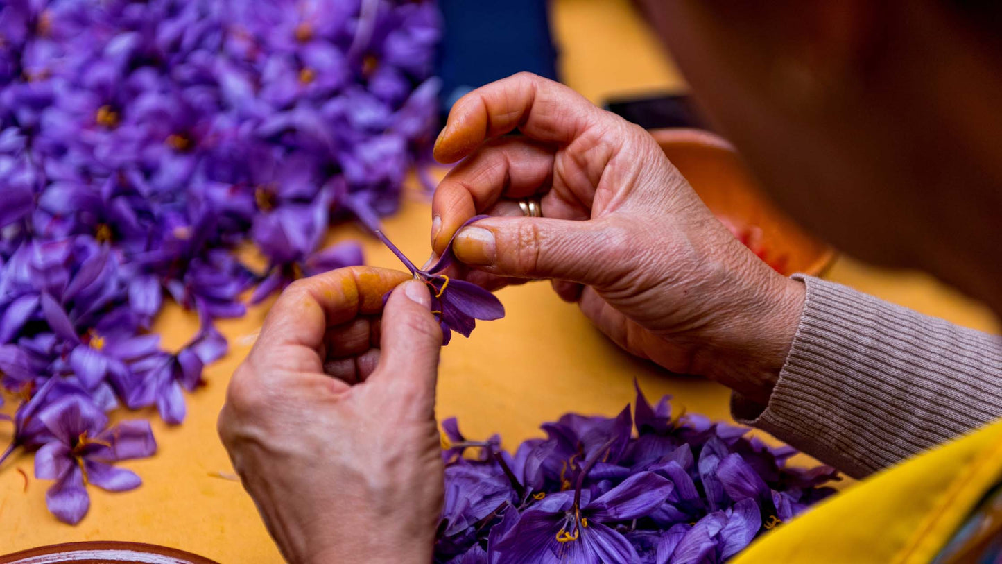 Does Saffron Work Like Adderall to Treat ADHD Symptoms?