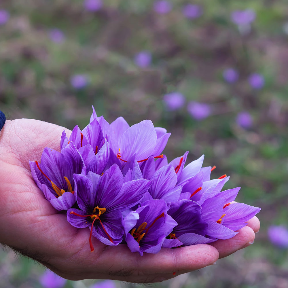 Saffron for Women’s Health: A Natural Boost to Wellness